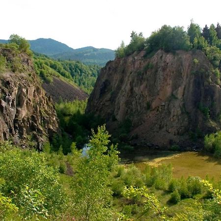 Ferienwohnung Am Wald Langelsheim Εξωτερικό φωτογραφία